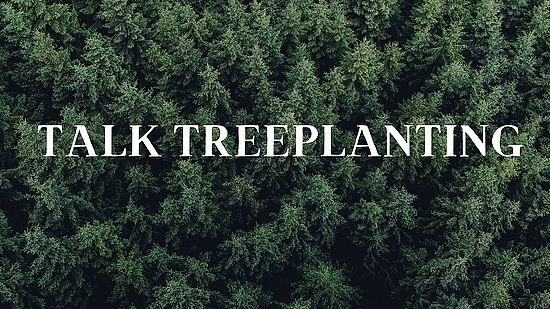 Talking treeplanting